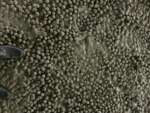 江西達(dá)人建材陶?；炷? title=